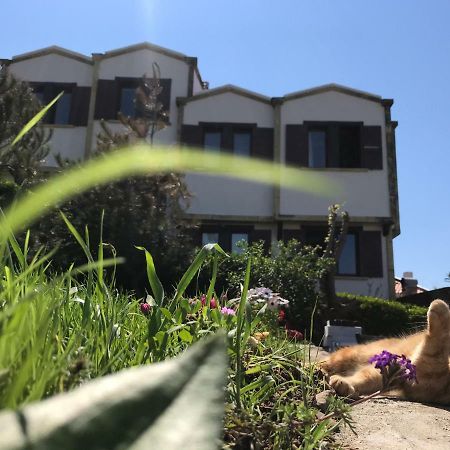 Apollon Hotel 博兹贾阿达岛 外观 照片