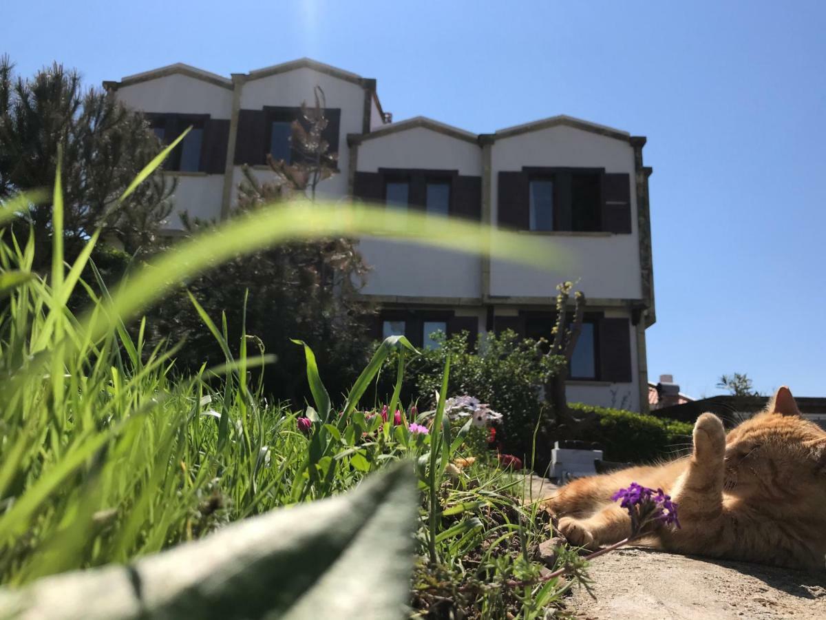 Apollon Hotel 博兹贾阿达岛 外观 照片